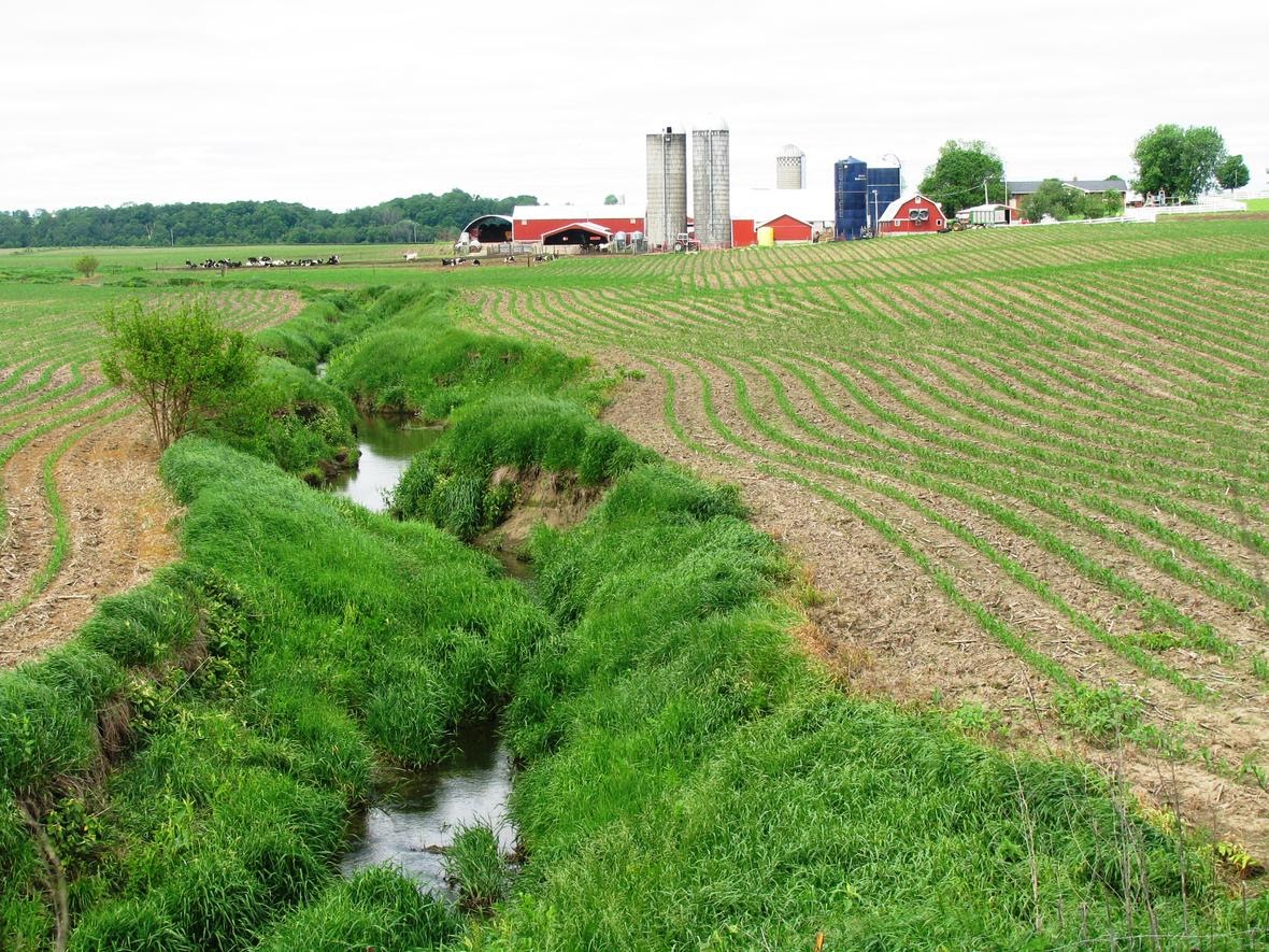farm farmland