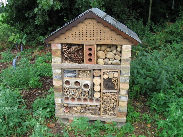 Bug Hotel