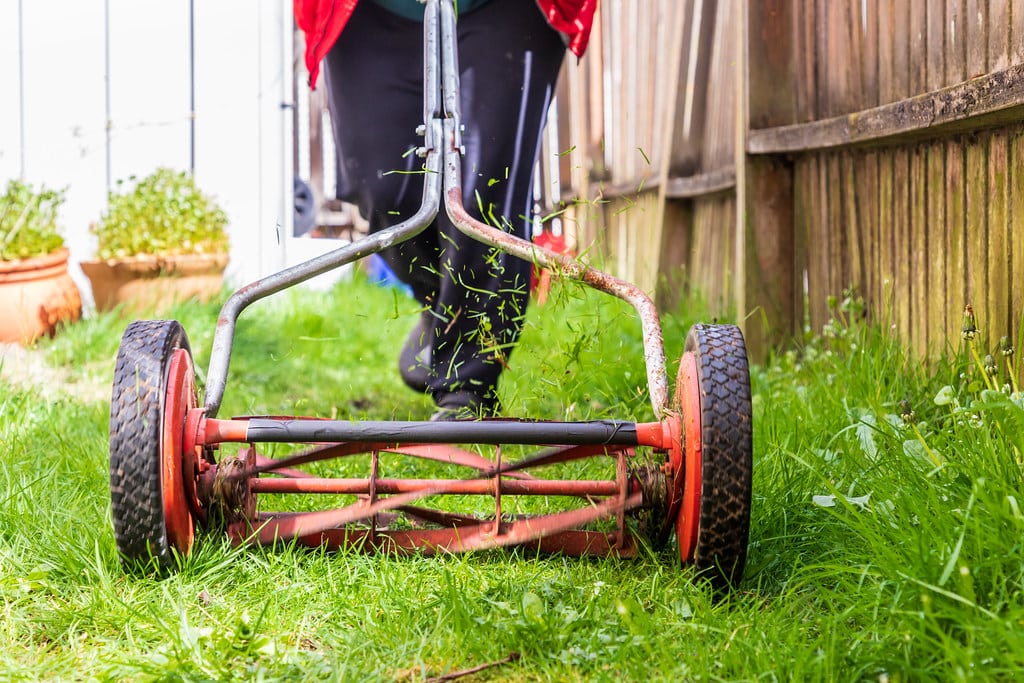 reel mower