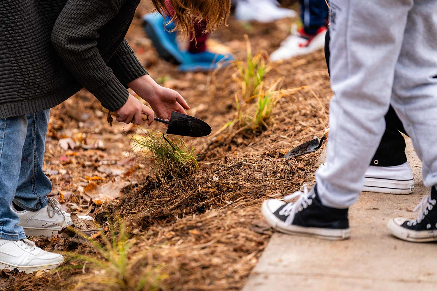 students planting plants