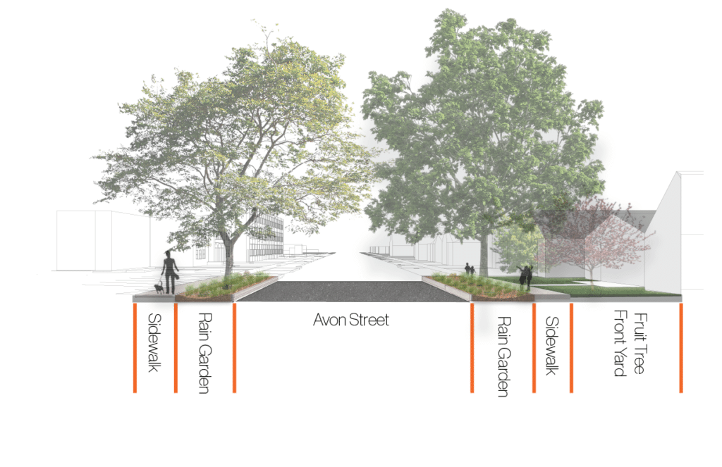 Streetscape Section rendering of street improvements