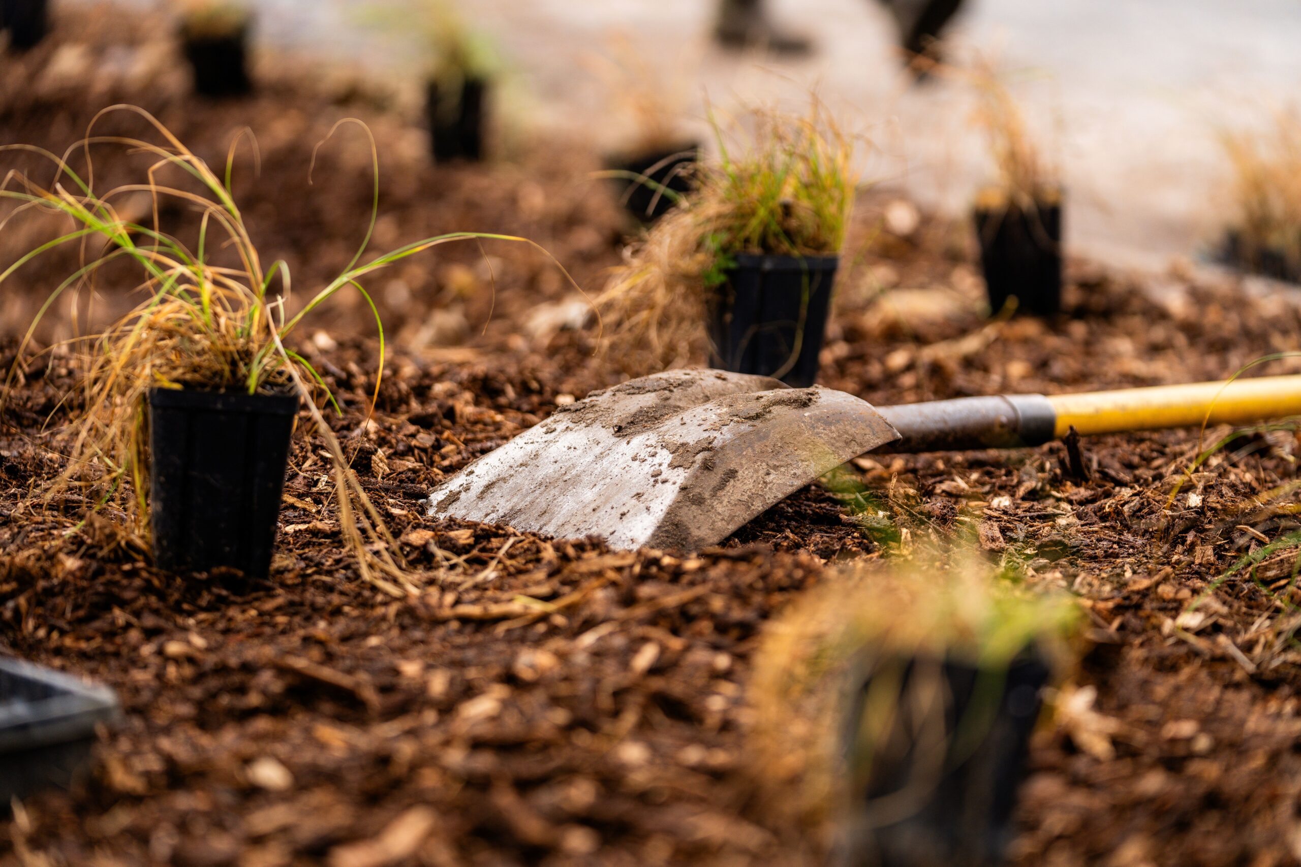 Washburn Gardens Volunteer Days